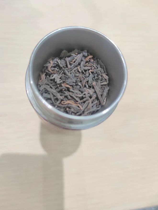 赛季8胜8负,郑钦文下周迎温网前最后热身!