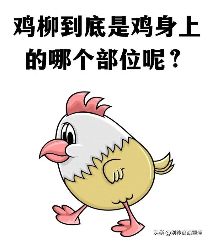 摩洛哥门将穆罕默迪:拥有布努是全队的幸运,他永远值得信赖