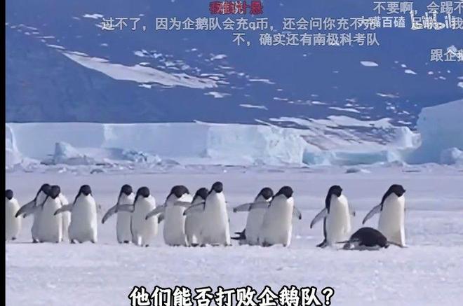 5年3.595亿美金!欧洲豪门要抢约基奇,掘金要小心了