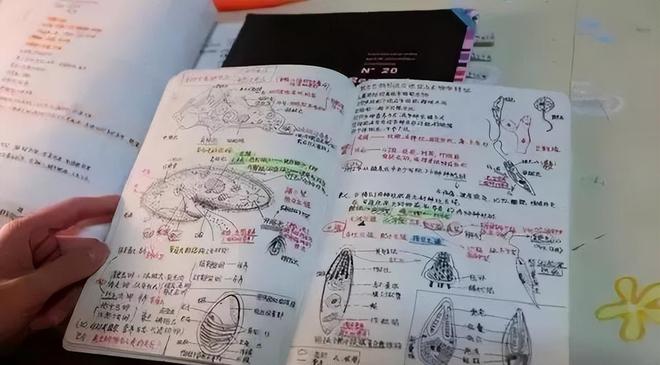 可签3年6000万？范弗里特或让步，火箭留下伊森，引援还剩1200万