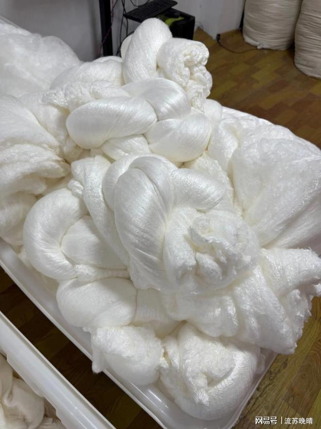 穆霍娃打退大坂直美首夺草地赛冠军，斯瓦泰克分析巴堡一轮游原因