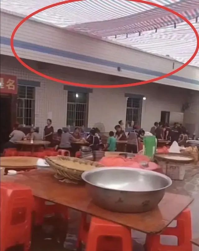 王欣瑜压哨进柏林正赛首轮战凯斯,郑钦文诺丁汉首轮战萨卡里