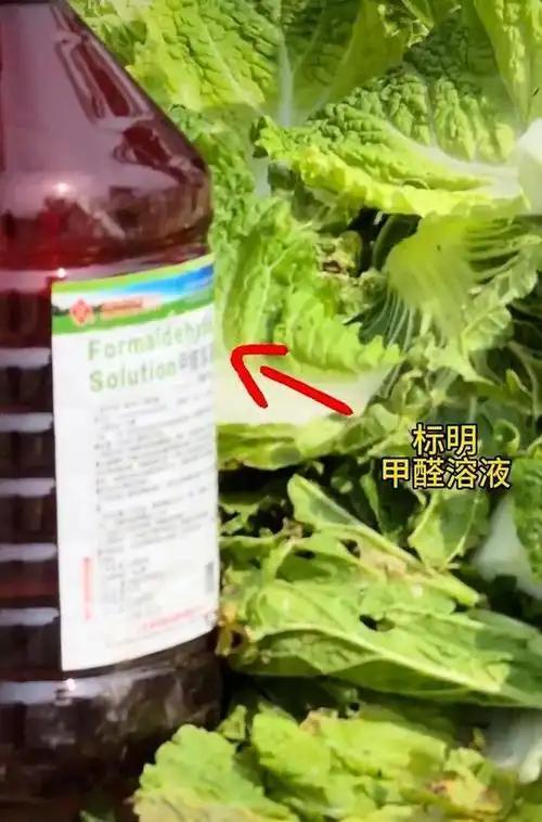 尼克斯vs马刺G5前瞻:尼克斯手握赛点冲冠 马刺绝境破釜沉舟