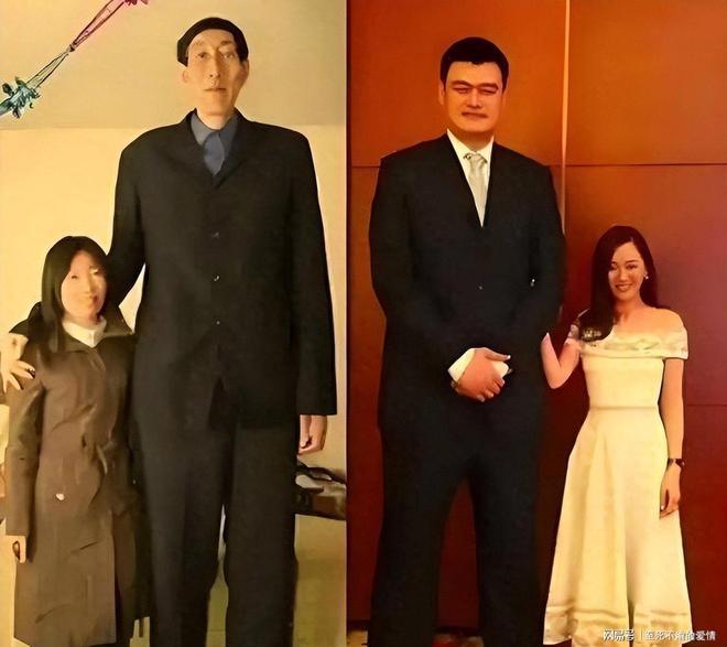 还记得当年曼联“纳不传”“瓦不射”“扬不过”“贝不进”吗?后来他们去了哪里,发展如何